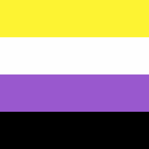 5 x 3ft Non-binary Pride Flag LGBT Perspective: right