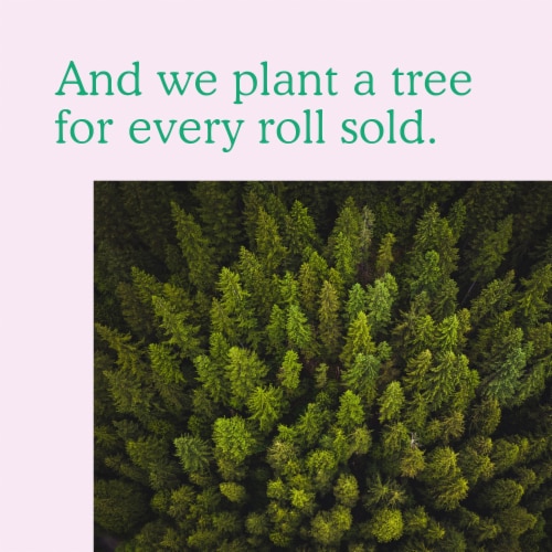 Serious Tissues, Carbon Neutral Toilet Roll Perspective: right
