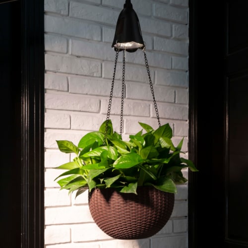 Solar hanging basket hotsell