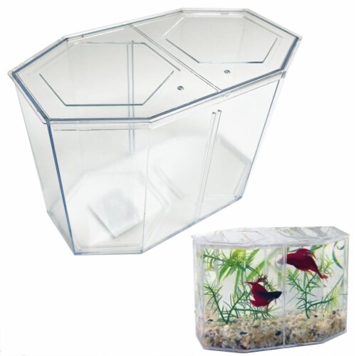 1 Dual Betta Hex Kit Tank Pet Aquatic Fishes Aquarium Habitat Office Home Decor Perspective: right