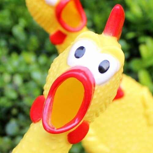 Screaming chicken dog toy hotsell