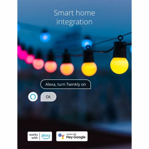 Twinkly Festoon App-Controlled Smart LED Bulb Light String 20 Multicolor RGB Perspective: right