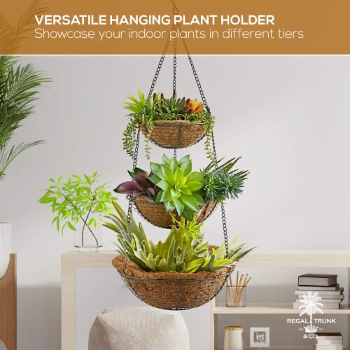 REGAL TRUNK  CO 3 Tier Hanging Fruit Basket Perspective: right