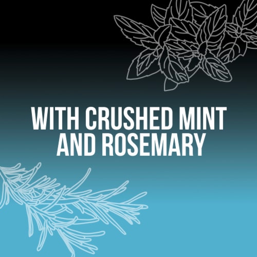 AXE Men Phoenix Crushed Mint & Rosemary Body Wash Perspective: right