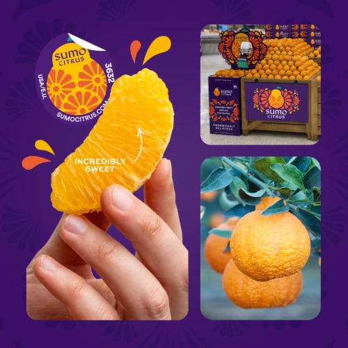 Sumo Citrus® Mandarin Orange Perspective: top
