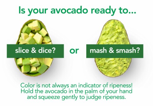 Fresh Avocados Medium Avocado Perspective: top