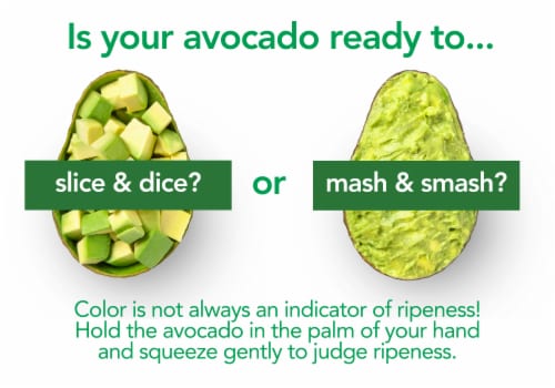 Organic Medium Avocado Perspective: top