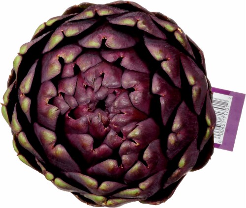 Ocean Mist Farms Purple Artichoke Perspective: top