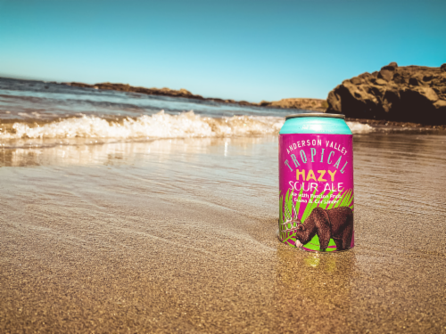 Anderson Valley Tropical Hazy Sour Craft Beer Perspective: top