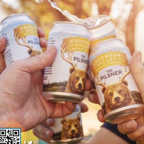 Anderson Valley The Pilsner Craft Beer Perspective: top
