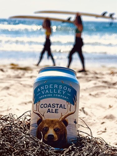 Anderson Valley Coastal Ale Craft Beer Perspective: top
