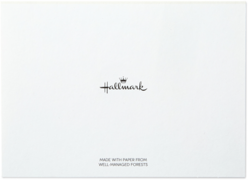 Hallmark #70 Boxed Navy and Gold Script Thank You Cards Perspective: top