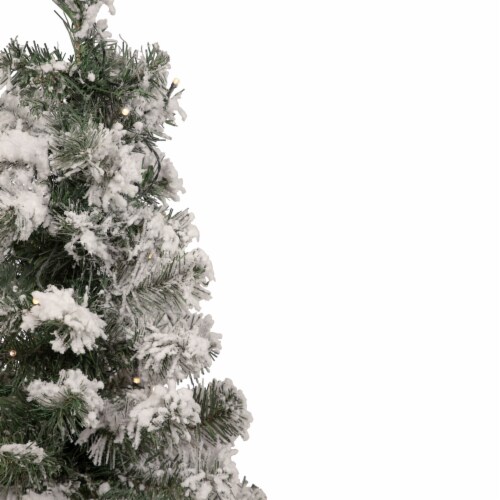 Northlight 2' Pre-Lit Medium Flocked Bristol Pine Artificial Christmas Tree - Warm Clear LED Perspective: top