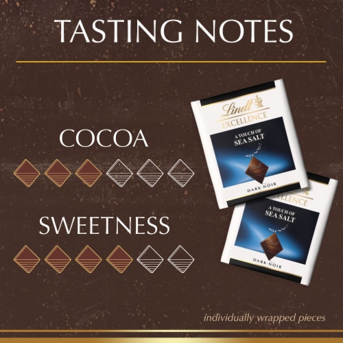 Lindt EXCELLENCE A Touch of Sea Salt Dark Milk Chocolate Candy Pouch Perspective: top