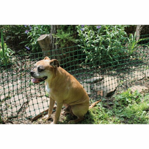 Tenax Garden Fence Green 3-ft X 25-ft Perspective: top