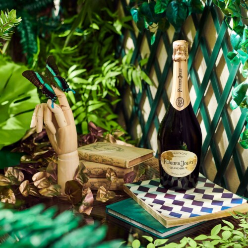 Perrier Jouet Grand Brut Champagne France Sparkling Wine Perspective: top