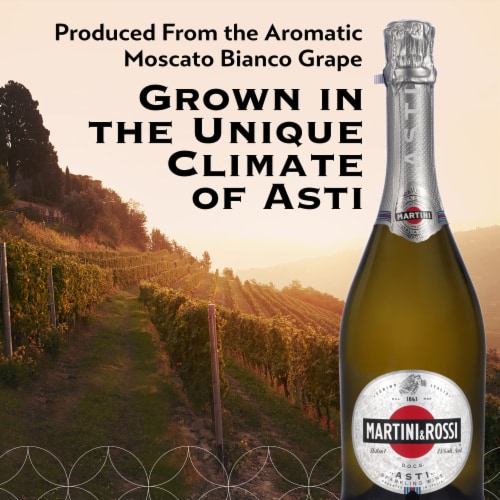Martini & Rossi Moscato Italy Sparkling Wine Perspective: top