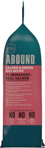 Abound™ Salmon & Brown Rice Recipe Adult Dry Cat Food Perspective: top