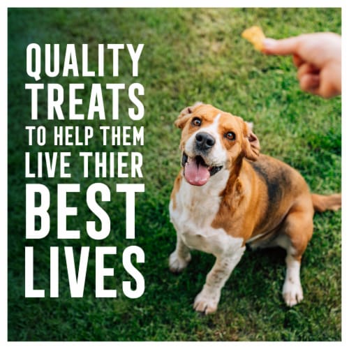Abound® Grain Free All Size Dogs Jerky Bites Dog Treats Lamb Chickpea & Squash Perspective: top