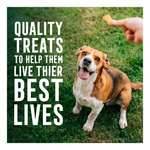 Abound® Grain Free All Size Dogs Jerky Bites Dog Treats Salmon & Sweet Potato Perspective: top