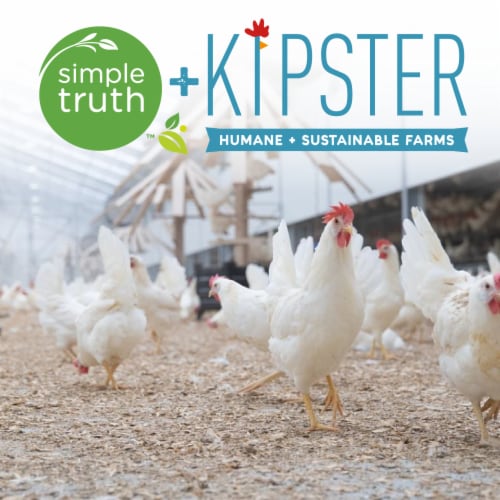 Simple Truth™ Kipster Medium Grade A Eggs Perspective: top