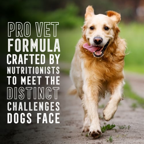 ABOUND® Pro Vet Formulated Skin & Coat Support Wet Dog Food Chicken Salmon & Sweet Potato Pate Perspective: top