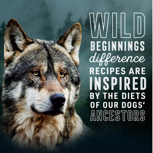 ABOUND® Wild Beginnings Adult Dry Dog Food Beef Venison & Lamb Perspective: top