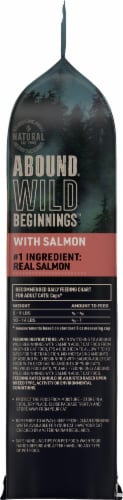 ABOUND® Wild Beginnings™ Adult Dry Cat Food with Salmon Perspective: top
