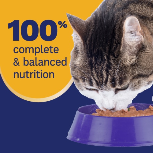 Pet Pride® All Life Stages Wet Cat Food Classic Chicken Dinner Paté Perspective: top