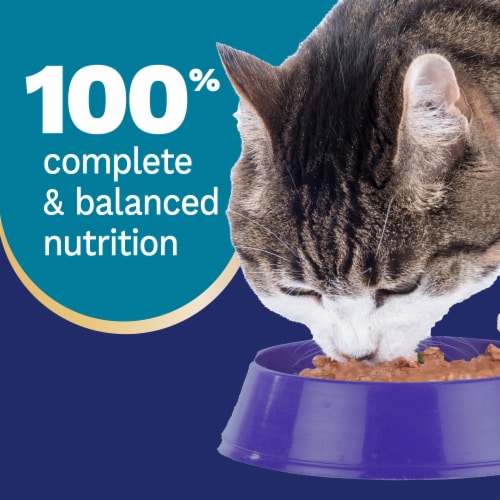 Pet Pride® All Life Stages Wet Cat Food Ocean Whitefish & Tuna Dinner Paté Perspective: top