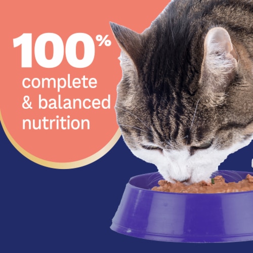 Pet Pride® All Life Stages Wet Cat Food Savory Salmon Dinner Paté Perspective: top