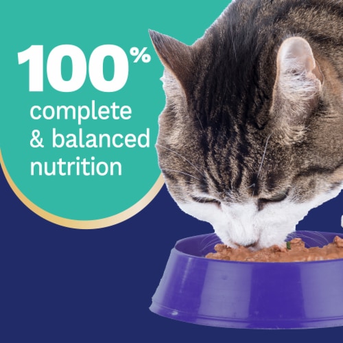 Pet Pride® All Life Stages Wet Cat Food Fish & Shrimp Dinner Flaked Perspective: top