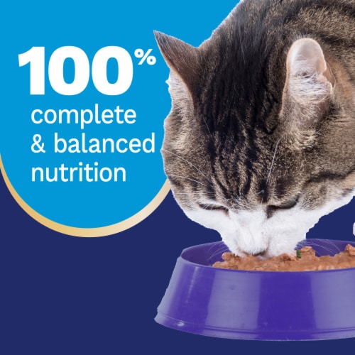 Pet Pride® All Life Stages Wet Cat Food Turkey Dinner in Gravy Cuts Perspective: top