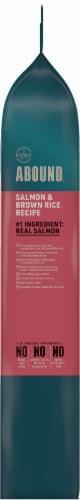 ABOUND® All Life Stages Dry Cat Food Salmon & Brown Rice Perspective: top