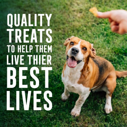 Abound® All Size Dogs Training Treats Chicken Flavored Perspective: top