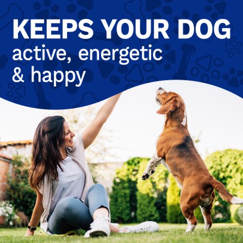 Pet Pride® Small Dental Chews Dog Treats Original Perspective: top