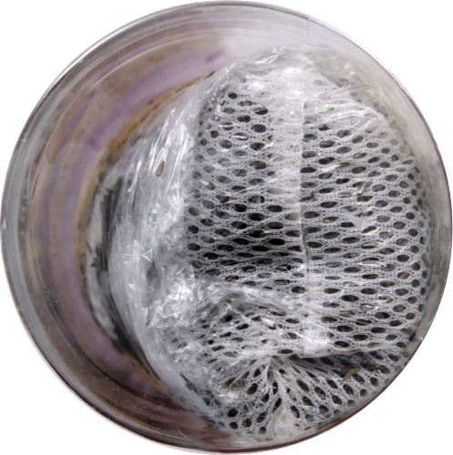 Nature's Song® Finch Sock Feeder Perspective: top