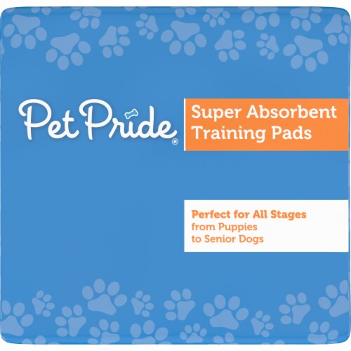 Pet Pride® Super Absorbent Training Pads 100 Count Perspective: top