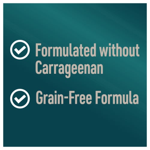 ABOUND® Grain Free Wet Dog Food Chicken and Vegetables in Gravy Perspective: top