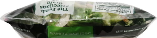 Fresh Selections Greener Supreme Salad Perspective: top