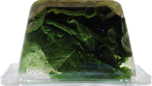 Simple Truth Organic™ Hearts of Romaine Leaves Perspective: top