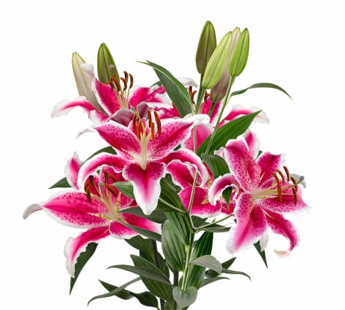 Bloom Haus Oriental Lily Bunch Perspective: top