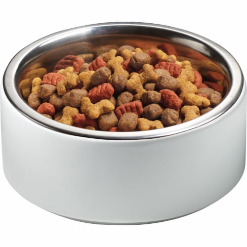 Alpo dry dog food on sale