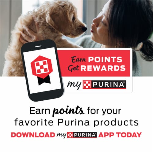 Purina T-Bonz Dog Treats Porterhouse Flavor Perspective: top