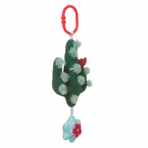 Cactus rattle sales