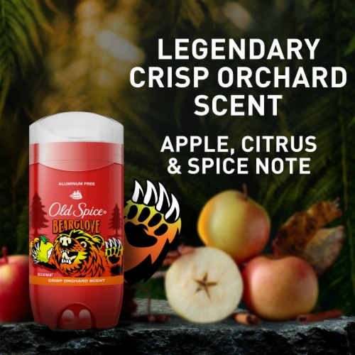 Old Spice Deodorant for Men, 24/7 Freshness, Bearglove, Twin Pack Perspective: top