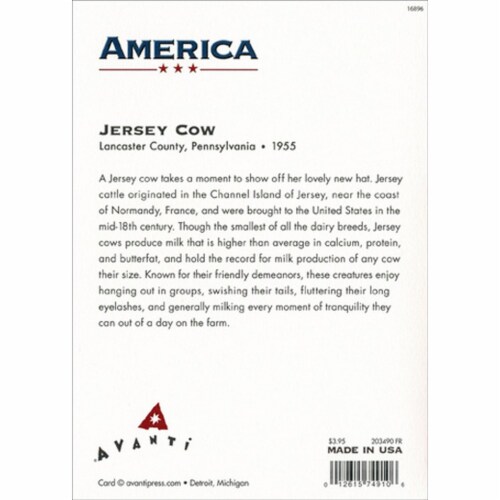 Avanti Press Greeting Card Friendship Jersey Cow with Hat Perspective: top