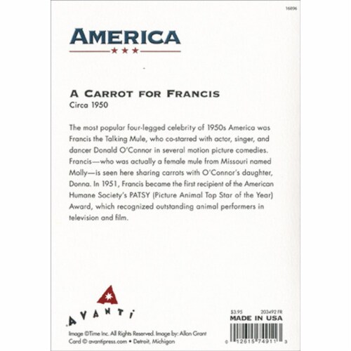 Avanti Press Greeting Card Francis the Mule Perspective: top