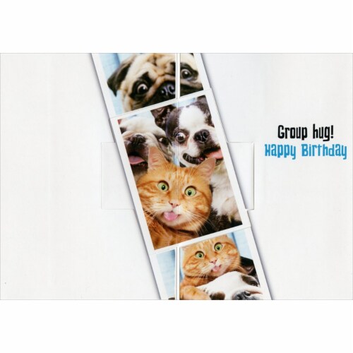 Avanti Press Greeting Cards Birthday Dog/Cat Photobooth Fun Perspective: top