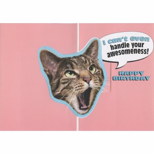 Avanti Press Greeting Cards Birthday OMG Cat Perspective: top